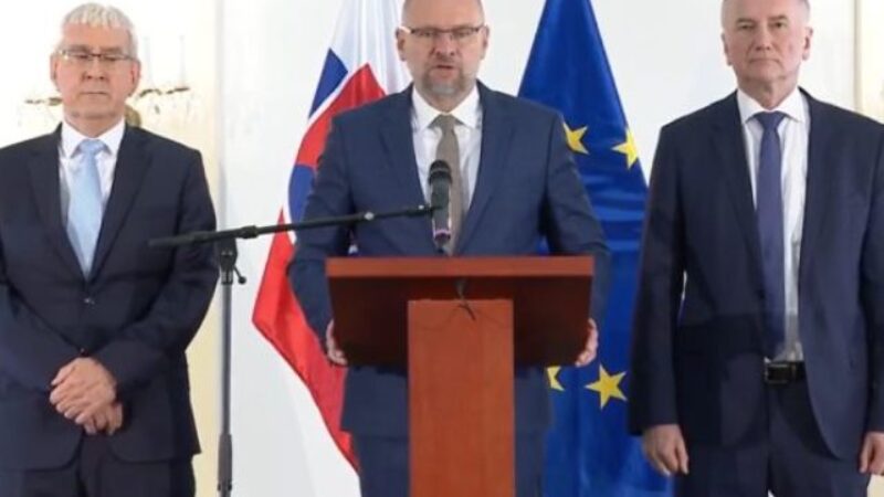 SaS predstavila Bratislavskú deklaráciu o budúcnosti EÚ, riadiť sa ním bude v Europarlamente (video)