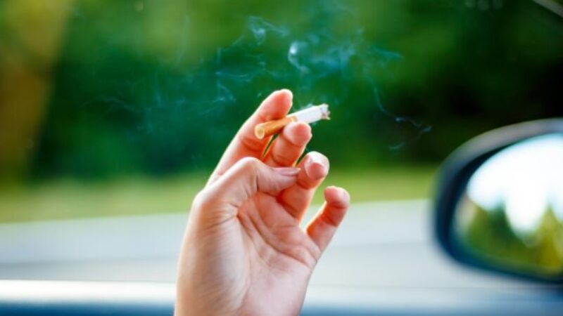 Nikotínové vrecúška bez tabaku zdanené takmer rovnako ako tradičné cigarety? Novela zákona má desiatky pripomienok