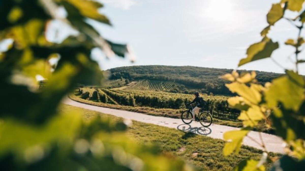 6 najkrajších oblastí v Dolnom Rakúsku, do ktorých sa oplatí vyraziť na cyklistiku