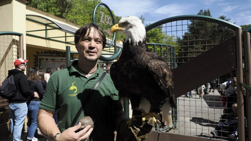 Košická zoologická záhrada oslavuje 45. výročie vzniku