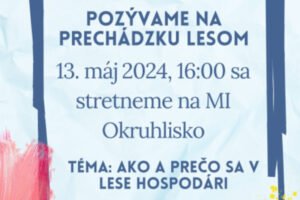 Eko prechádzka na Líščom vrchu: Spoznajte krásy Krompách