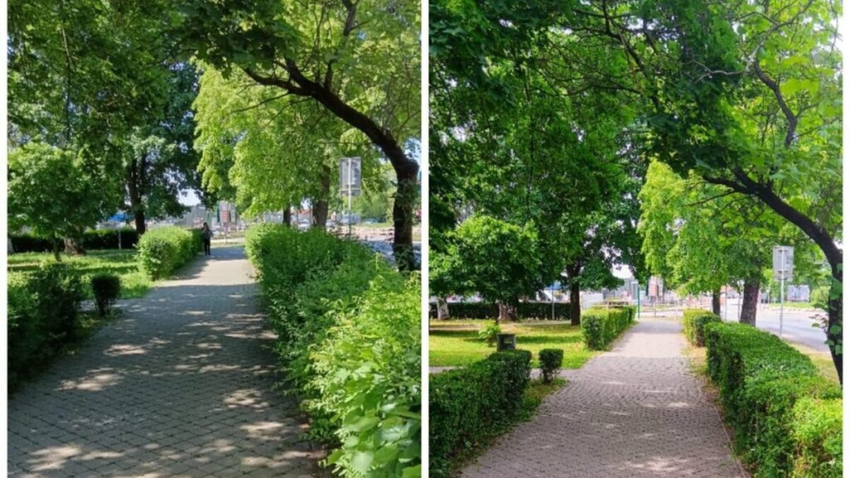 Starostlivosť o mestskú zeleň v Šuranoch: Kľúčová úloha mestského podniku služieb