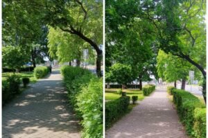 Starostlivosť o mestskú zeleň v Šuranoch: Kľúčová úloha mestského podniku služie...
