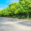 V pondelok neparkujte v Nitre na Škultétyho 3 a 5