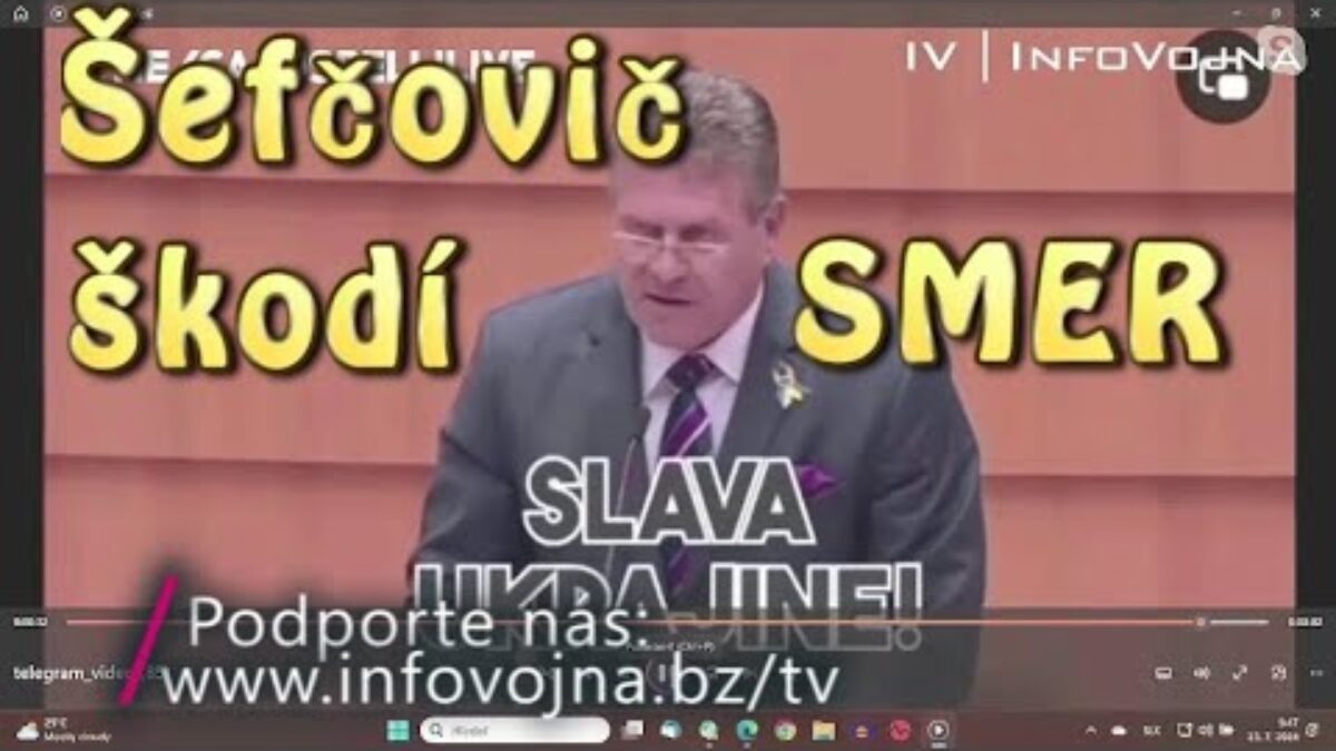 Henry Lee: Šefčovič škodí SMER u