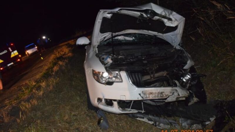 Tragická nehoda pri Michalovciach. Vodič zišiel s autom do priekopy, kde narazil do betónového mostíka