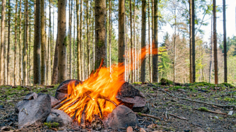 V celom Bratislavskom kraji platí zákaz zakladania ohňa, horúce počasie môže zapríčiniť zvýšené riziko vzniku požiaru