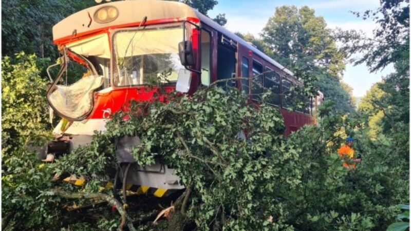 Spadnutý strom počas silnej búrky spôsobil nehodu vlaku, rušňovodič utrpel poranenie hrudníka (foto)