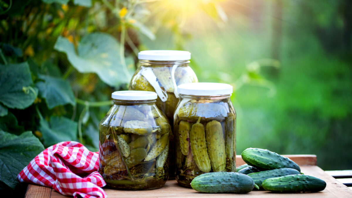 Dávny recept na uhorky od starej mamy. Vďaka zmene pomerov sú chrumkavé a plné chuti