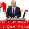 TVRDÉ ZÁSAHY DO DEMOKRACIE V NEMECKU? CHCÚ ZAKÁZAŤ DRUHÚ NAJSILNEJŠIU STRANU