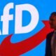 Nemecko nemá „žiadne právne dôvody“ na zákaz AfD