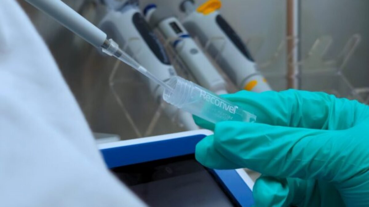 Nízkomolekulové prírodné extrakty s obsahom peptidov ukazujú nádej v boji proti rakovine
