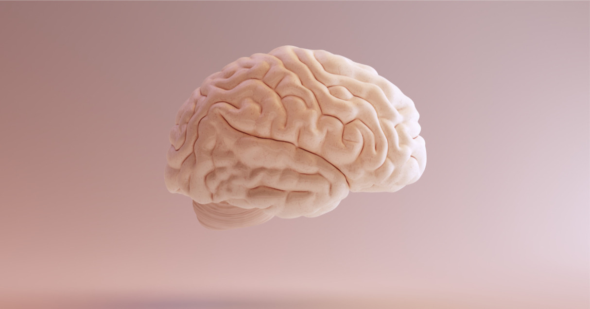 10 zaujímavých faktov o našom mozgu, ktoré ťa fascinujú