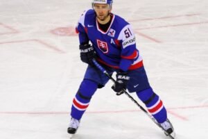 Máme odborníkov na hokej i medicínu. Podľa Graňáka má slovenská reprezentácia hr...