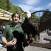 Košická zoologická záhrada oslavuje 45. výročie vzniku