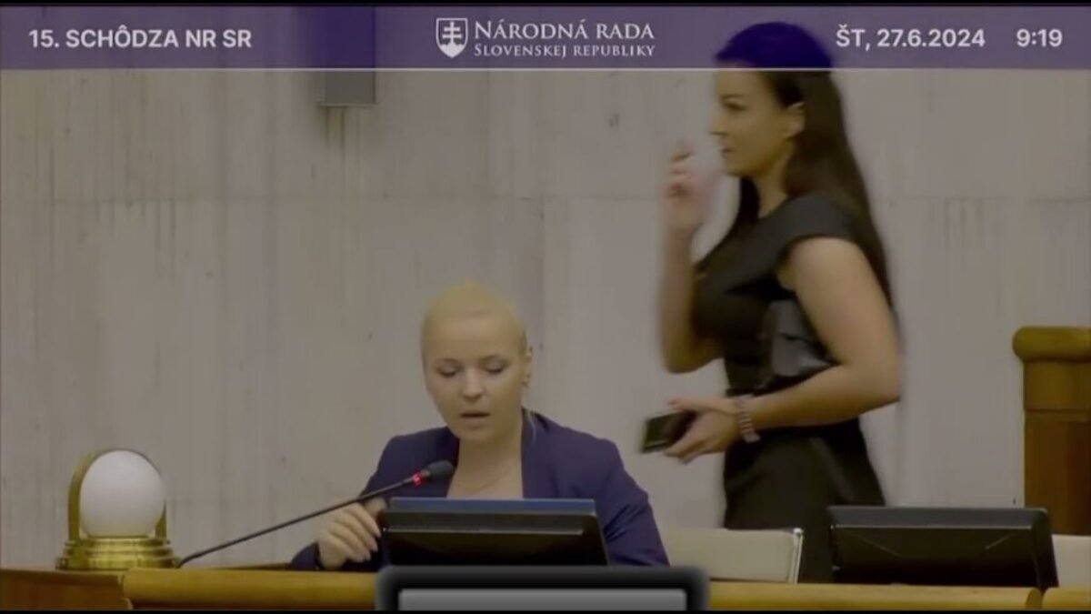 Z. PLEVÍKOVÁ: TOTO PODĽA PROGRESÍVNEHO SLOVENSKA NAJVIAC TRÁPI OBČANOV❓