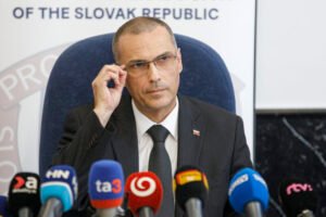 Žilinka podal podnet na Ústavný súd SR, napadol viaceré ustanovenia zákona o mes...