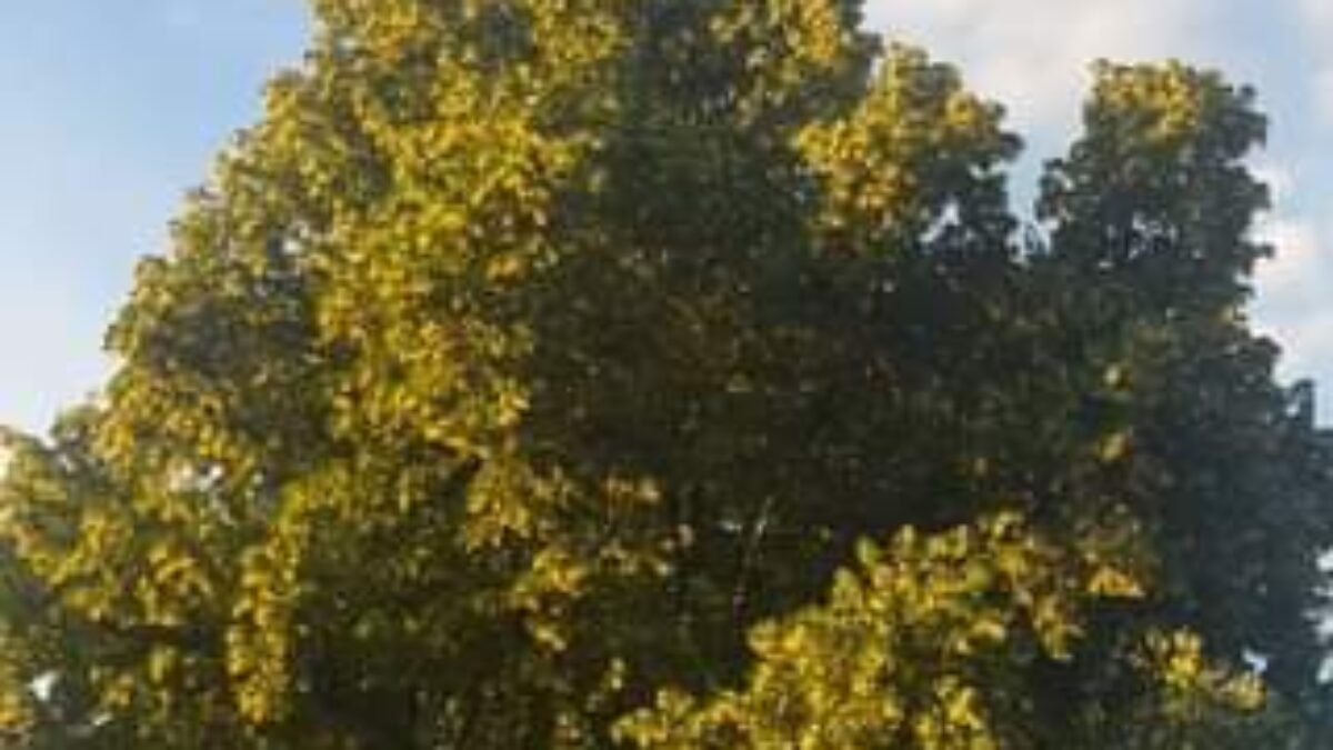 Nitra : ĎAKUJEME VŠETKÝM Ako sa vám páčilo?