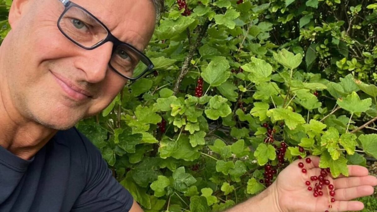 Richard Raši: Nie je nič lepšie, ako domáce ovocie. Ja som ráno pooberal tieto krásne ríbezle. Čo si dáte na raňajky vy? Želám Vám krásny a pohodový víkend