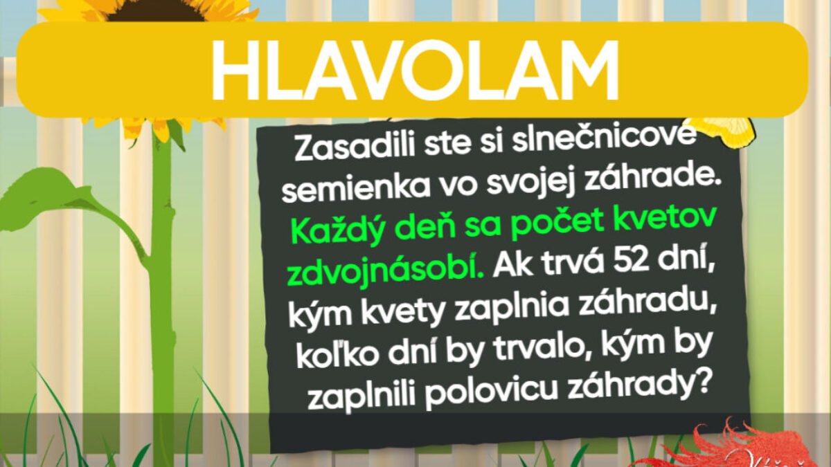 Hlavolam: Myslíte si, že na to máte? Skúste vyriešiť túto mätúcu hádanku