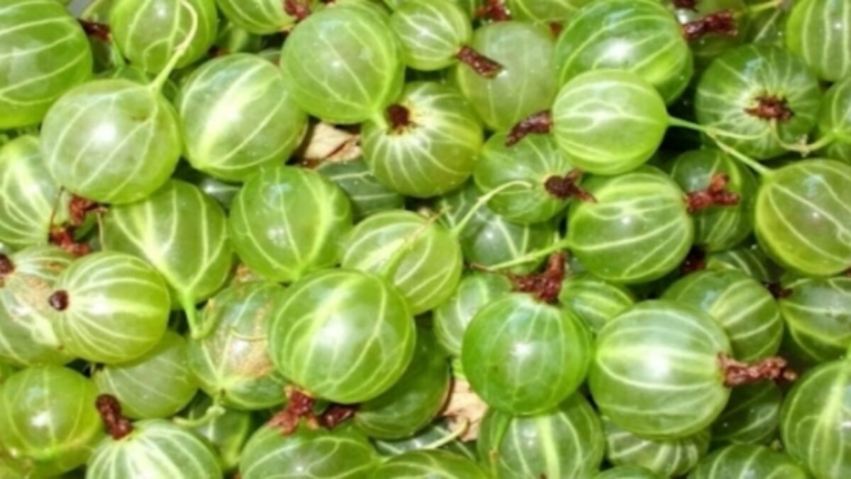 Toto je vlastne asi to úplne najzdravšie ovocie na celom svete a aj tak sa naň neustále ešte zabúda: Obsahuje dokonca 20-krát viac vitamínu C ako pomaranče.