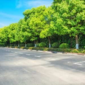 V pondelok neparkujte v Nitre na Škultétyho 3 a 5