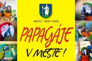 Popoludnie s papagájmi vo Veľkom Šariši