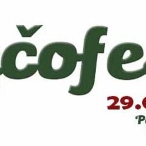 Lečofest 2024 v Hurbanove: Tradičný festival s bohatým programom pre celú rodinu