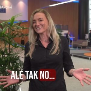 J. Laššáková: Keď demokratická opozícia blúzni