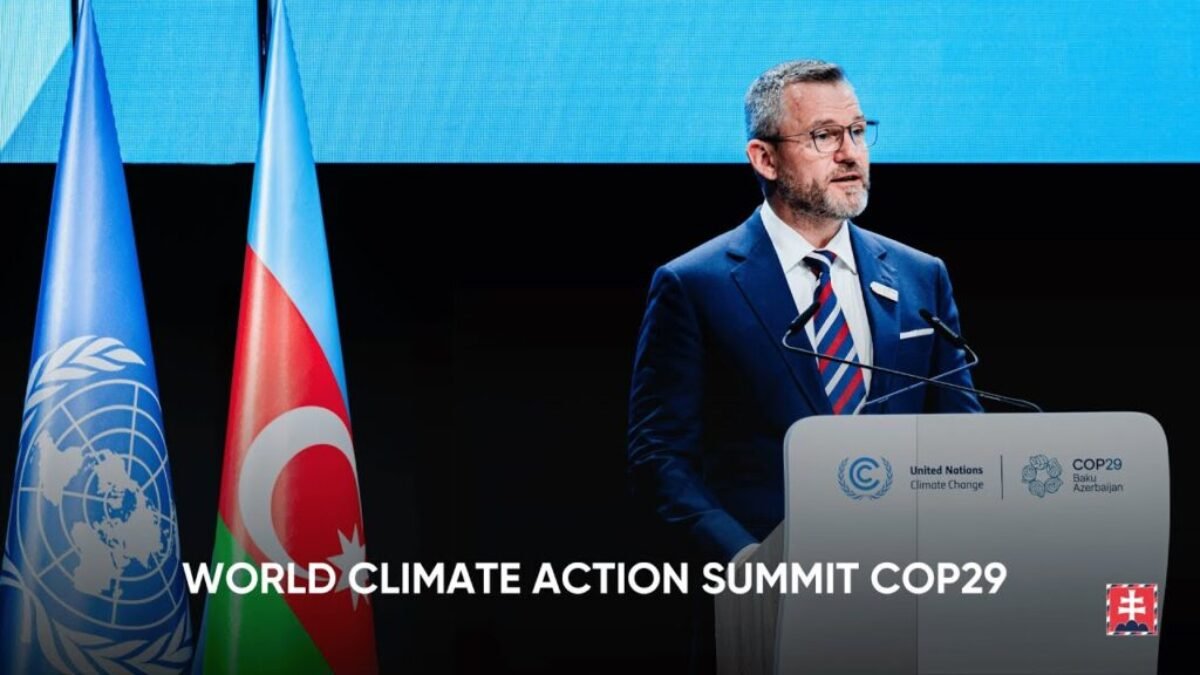 WORLD CLIMATE ACTION SUMMIT COP29