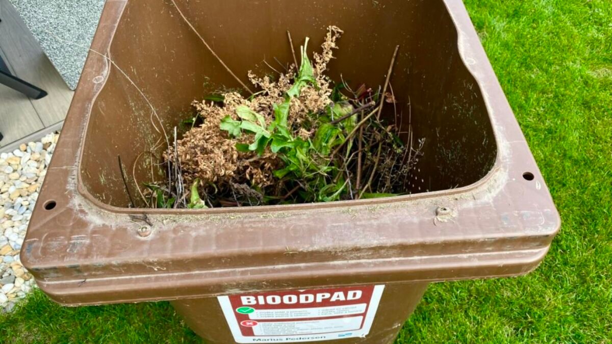Trenčín : Pripomíname zmenu frekvencie vývozu bioodpadu počas zimy

V zimných mesiacoch dochádza každoročne k zmene frekvencie zberu bioodpadu pre rodinné domy. Od d…