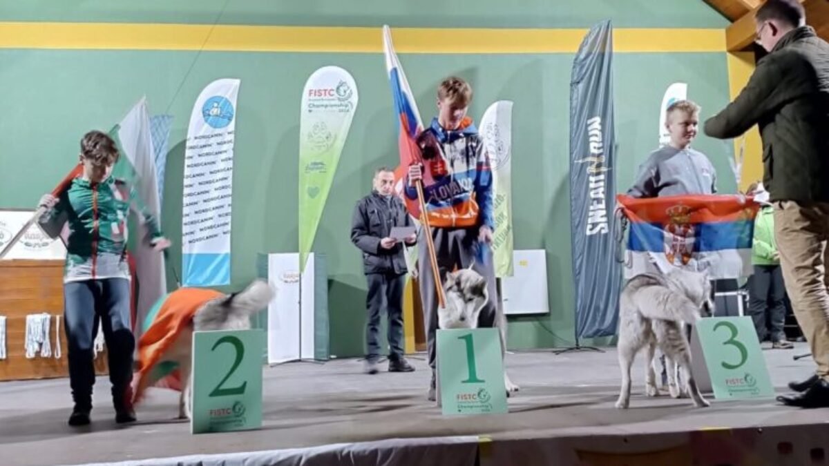 Humenné: FISTC Dryland European Championship 2024. Počas víkendu sme sa zúčastnili preteku ME.Fistc v Maďarsku.Igor Štefan junior+Gery.Igor Štefan +Fajak. ďakujem z…