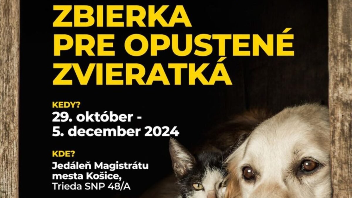 Košice: VYTVORME SPOLOČNE KRAJŠIE VIANOCE AJ NAŠIM CHLPÁČOM, ZBIERKA PRE OPUSTENÉ ZVIERATKÁ TRVÁ EŠTE TÝŽDEŇ 

V jedálni Magistrátu mesta Košice na Triede SNP 48/A…