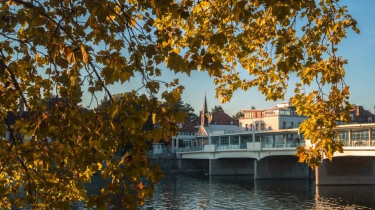 Noc divadiel, Blatový pochod aj rozsvietenie vianočného stromčeka: Rezort Piešťany avizuje bohatý novembrový program podujatí