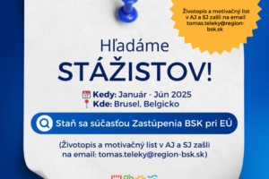Poď na stáž do Bruselu na Zastúpenie Bratislavského kraja pri EÚ