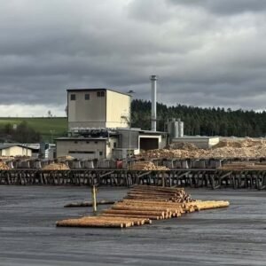 Ziegler Group: Najväčšia píla v Európe je insolventná