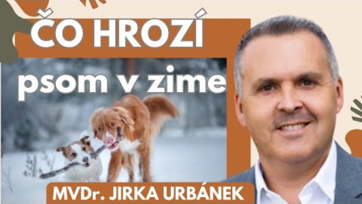 MVDr. Jirka Urbánek: PES a ČLOVEK majú už rovnaké CHOROBY.