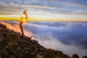 FOTO: Magická príroda v Bratislavskom kraji na prelome rokov