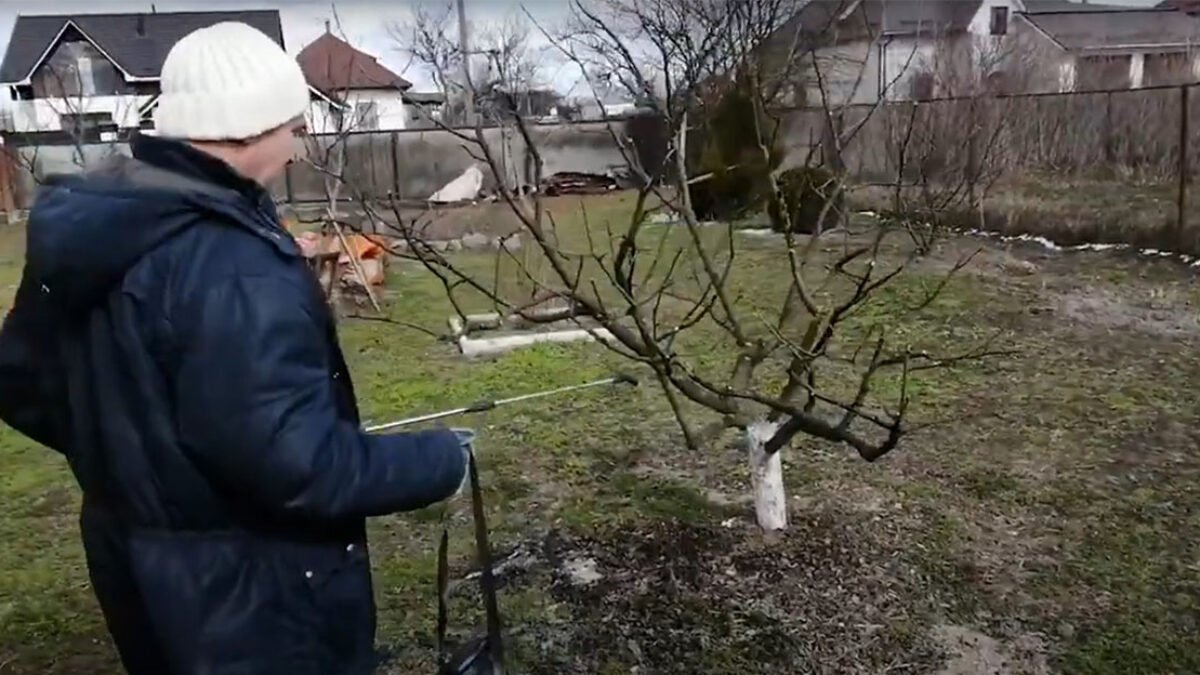 Dátum zimného postreku stromov a kríkov sa blíži. Ak nechcete ohroziť rastliny chorobami a škodcami, určite ho nevynechajte!