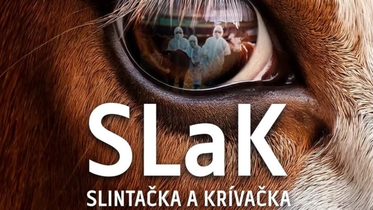 Slintačka a krívačka v Maďarsku a na Slovensku. Majú význam zákazy a nariadenia, ak sa vírus šíri vzduchom?