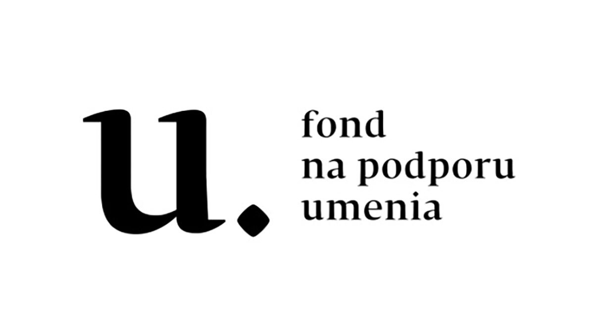 Problémy s výberom odborných komisií a zabezpečenie transparentnosti rozhodovania v FPU