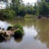 Ekocentrum Čunovo pozýva na komentovanú vychádzku za „lietajúcim diamantom“