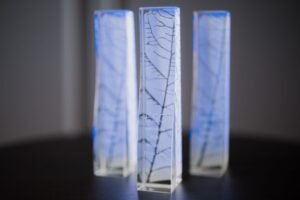 Transparentnosť, férovosť a udržateľnosť. Víťazom ESG Awards ide o viac než len ...