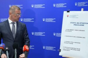 TK predsedu vlády SR R. Fica a podpredsedu vlády SR pre plán obnovy a odolnosti ...