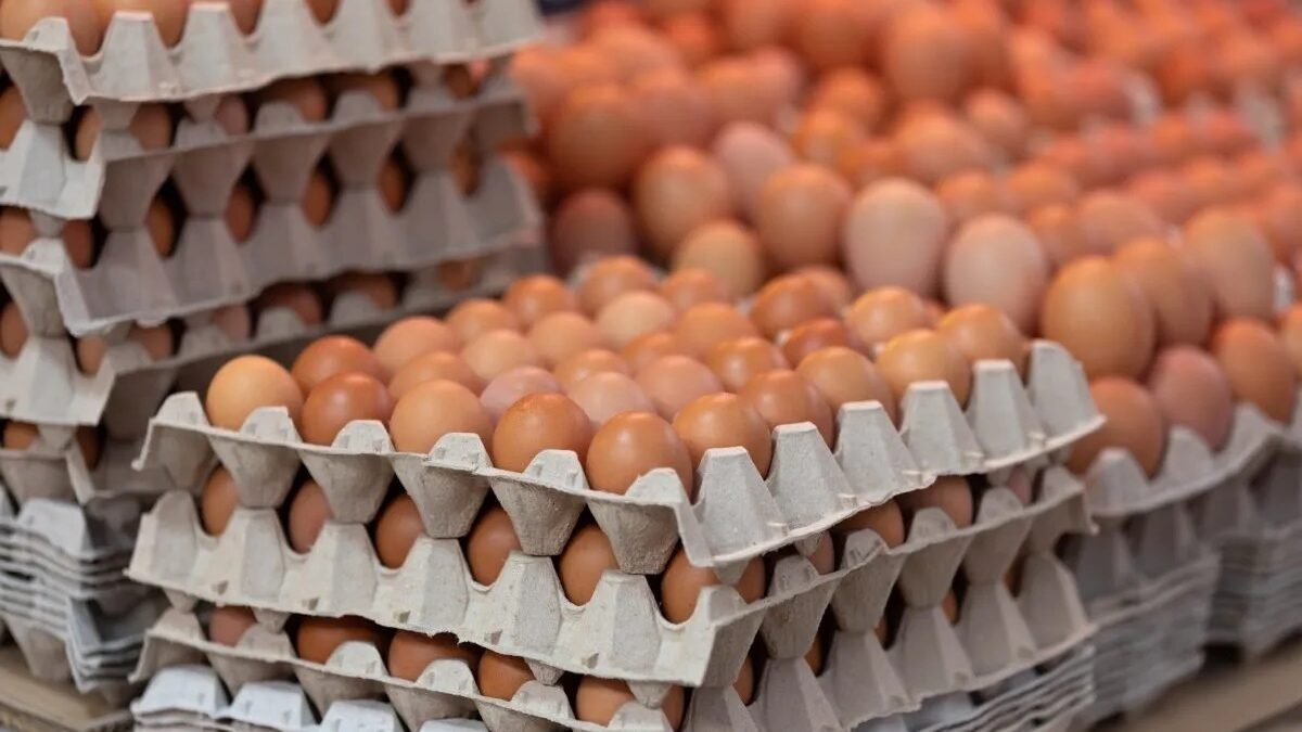 Prepuknutie salmonely v USA spôsobilo stiahnutie 1,7 milióna vajec z trhu
