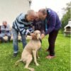 Aký bol mesiac máj v CSS Merema – Špecializované zariadenie Častá