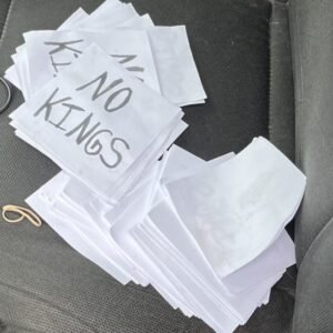 Polícia v spojitosti so strelcom, ktorý dnes zavraždil poslankyňu Minnesoty Meli...