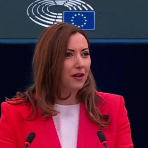 Petra Steger: EÚ tajne pokračuje v militarizácii
