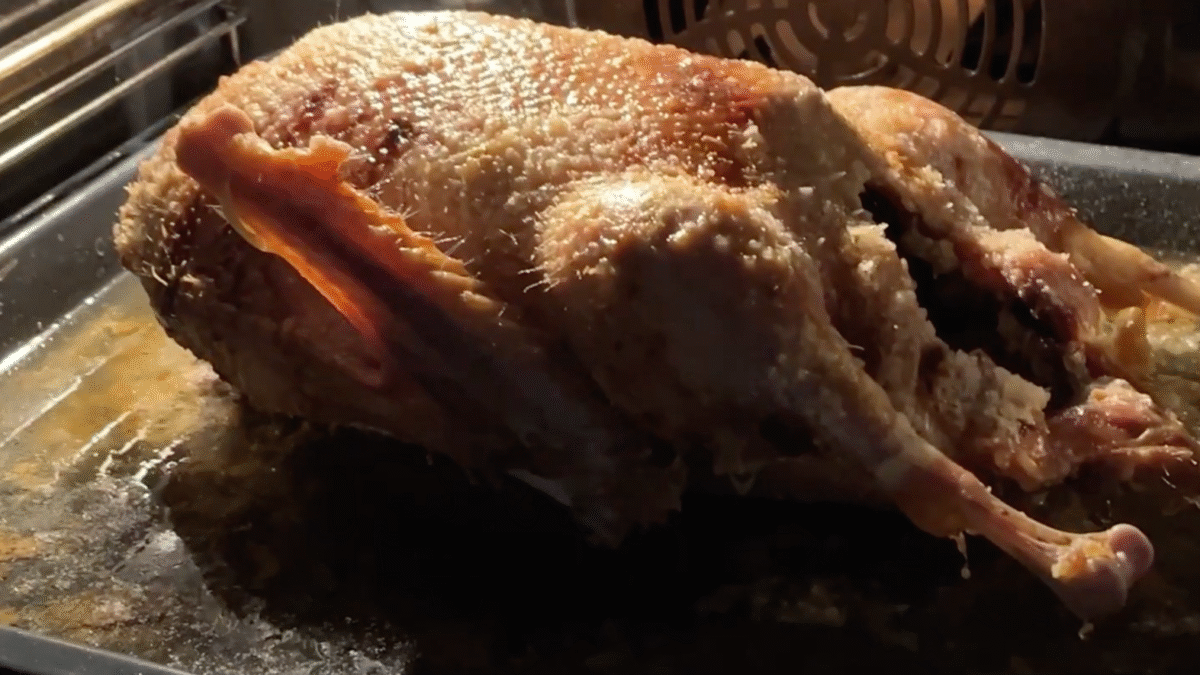 Pečená Hus – Recept na Hus na plechu