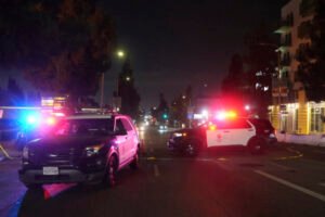Tragédia v Los Angeles. Muž úmyselne narazil autom do ľudí pred klubom, siedmi s...